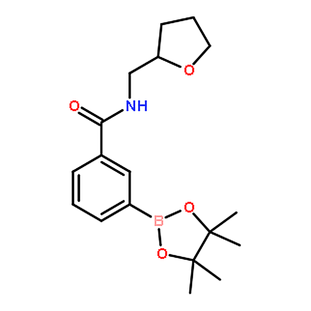 RHAWN N-((Tetrahydrofuran-2-yl)methyl)-3-(4,4,5,5-tetramethyl-1,3,2-dioxaborolan-2-yl)benzamide