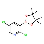 RHAWN 2,5-Dichloro-3-(4,4,5,5-tetramethyl-1,3,2-dioxaborolan-2-yl)pyridine