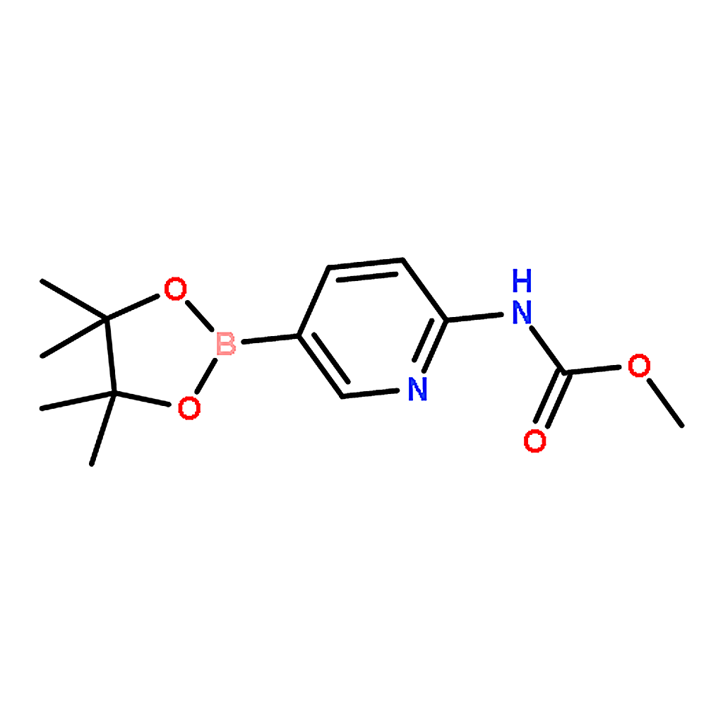 RHAWN 2-MethoxycarbonylaMinopyridine-5-boronic acid
