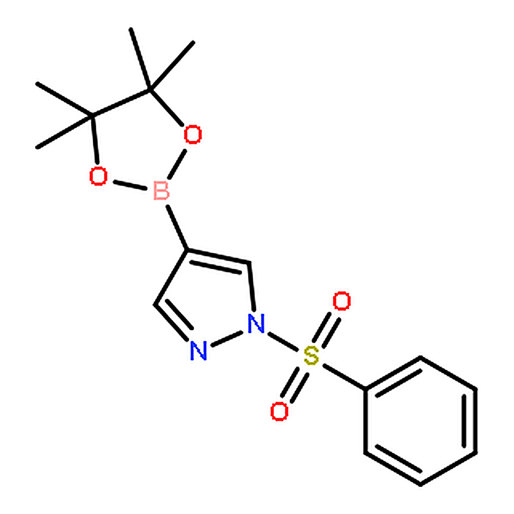 RHAWN 1-Phenylsulfonyl-1H-pyrazole-4-boronic acid pinacol ester