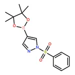 RHAWN 1-Phenylsulfonyl-1H-pyrazole-4-boronic acid pinacol ester