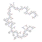 RHAWN Amyloid Protein Fragment 1-42