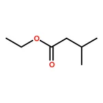 RHAWN Ethyl isovalerate