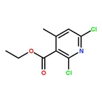 RHAWN Ethyl 2,6-dichloro-4-methylnicotinate