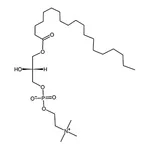 RHAWN 1-nonadecanoyl-2-hydroxy-sn-glycero-3-phosphocholine