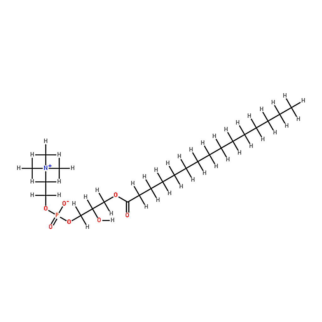 RHAWN 1-pentadecanoyl-2-hydroxy-sn-glycero-3-phosphocholine