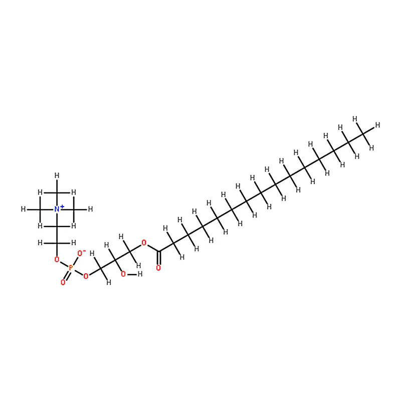 RHAWN 1-pentadecanoyl-2-hydroxy-sn-glycero-3-phosphocholine