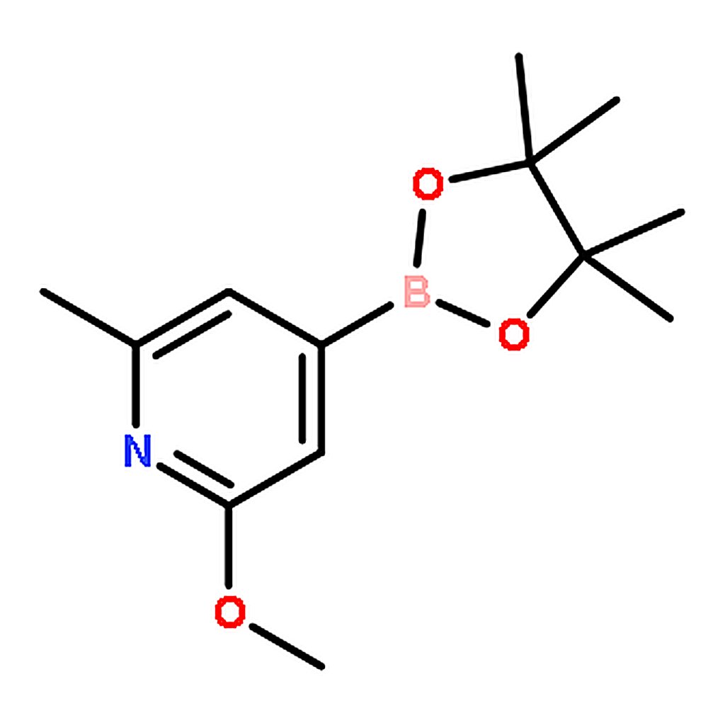 RHAWN 2-Methoxy-6-methyl-4-(4,4,5,5-tetramethyl-1,3,2-dioxaborolan-2-yl)pyridine