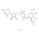 RHAWN Uridine 5▽-diphospho-N-acetylgalactosamine disodium salt