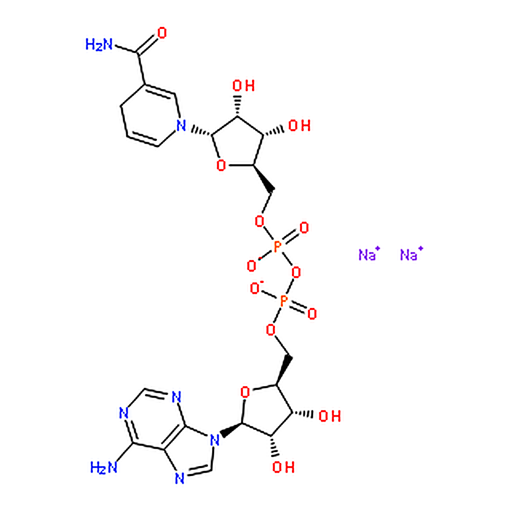RHAWN -Nicotinamide adenine dinucleotide， reduced disodium salt