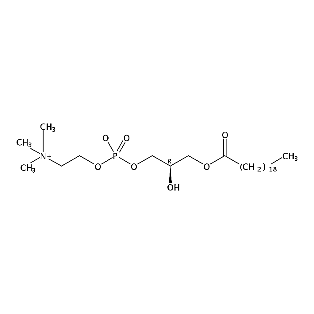 RHAWN 1-arachidoyl-2-hydroxy-sn-glycero-3-phosphocholine