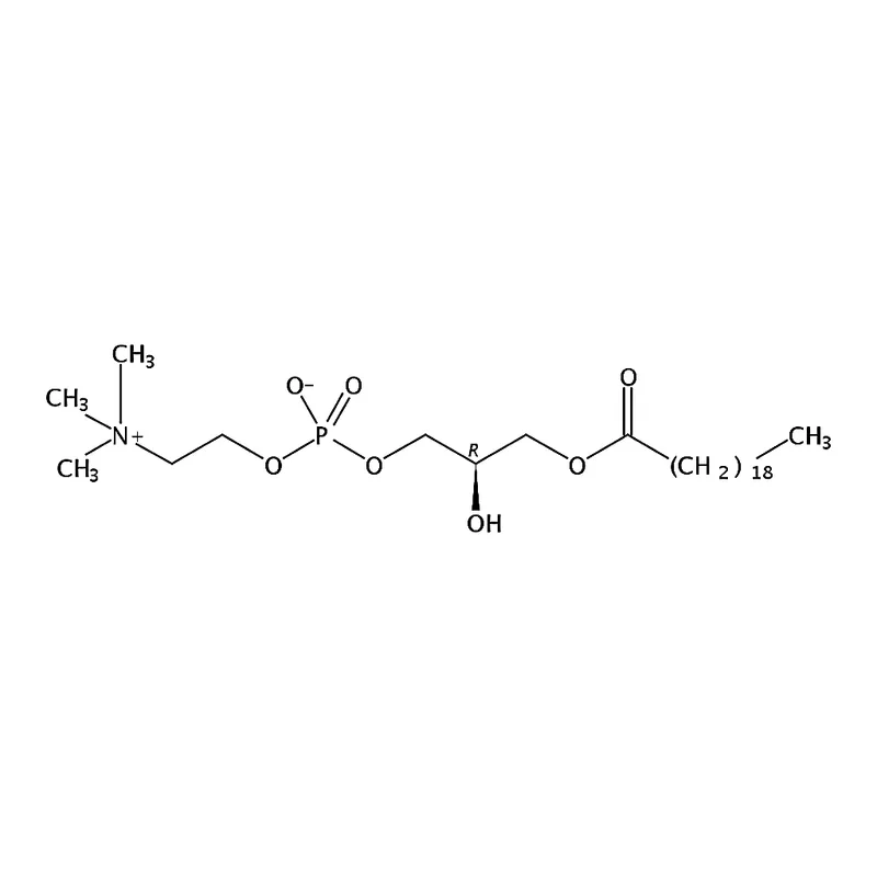 RHAWN 1-arachidoyl-2-hydroxy-sn-glycero-3-phosphocholine