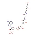 RHAWN Succinyl coenzyme A sodium