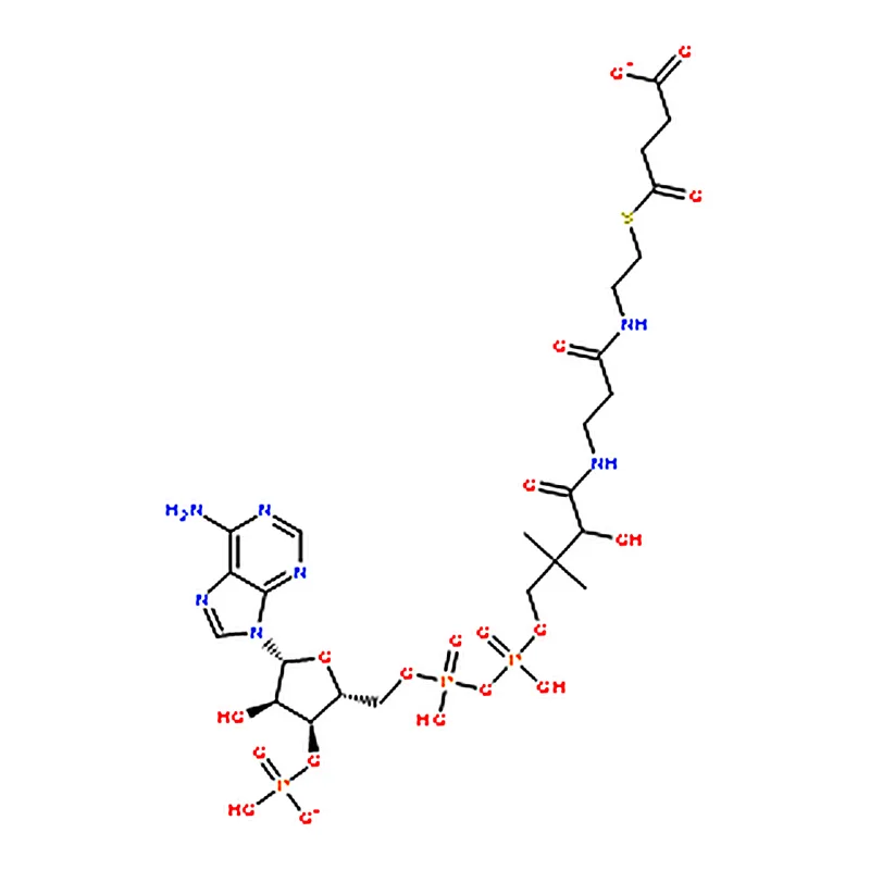 RHAWN Succinyl coenzyme A sodium