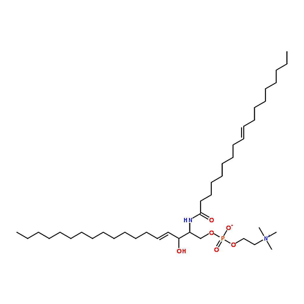 RHAWN N-oleoyl-D-erythro-sphingosylphosphorylcholine 