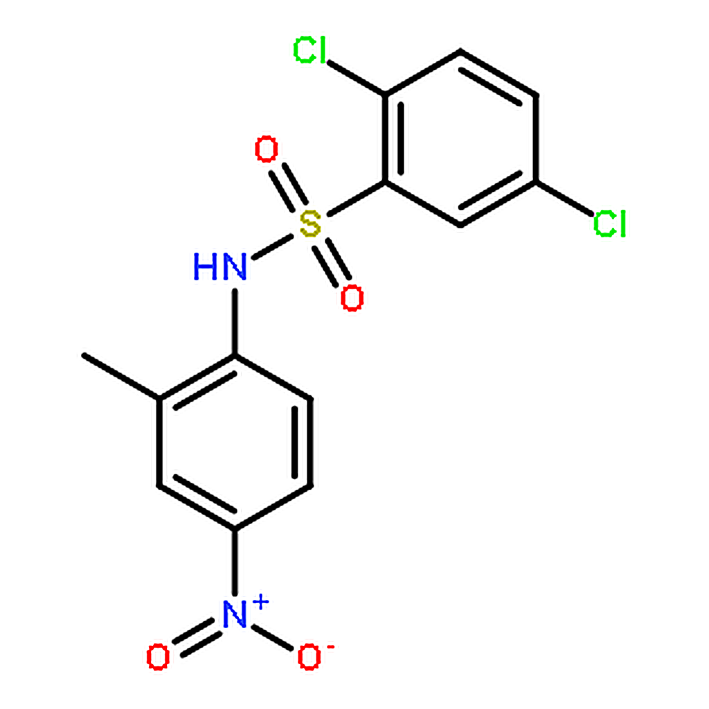 RHAWN 2,5-Dichloro-N-(2-methyl-4-nitrophenyl)benzenesulfonamide