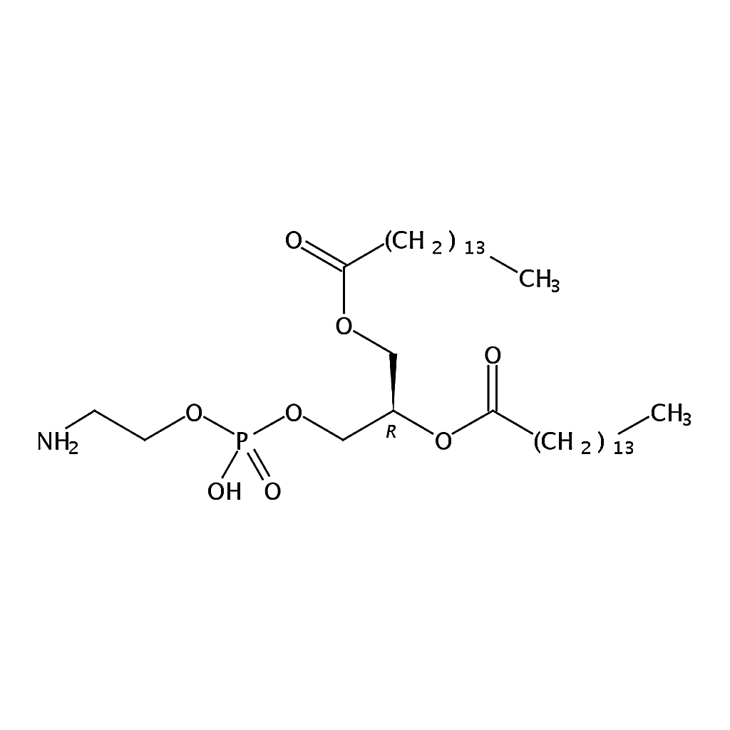 RHAWN 1,2-dipentadecanoyl-sn-glycero-3-phosphoethanolamine