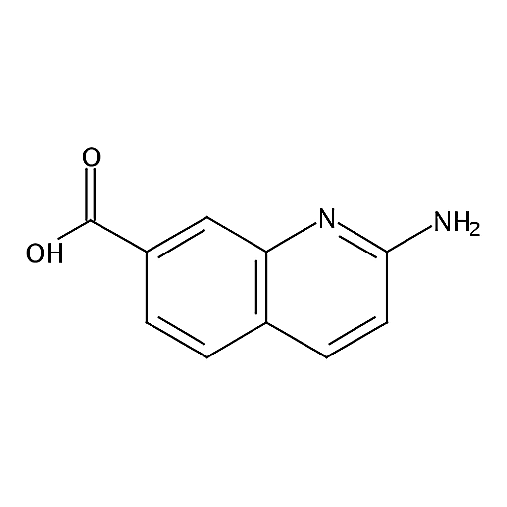 RHAWN 2-Aminoquinoline-7-carboxylic acid