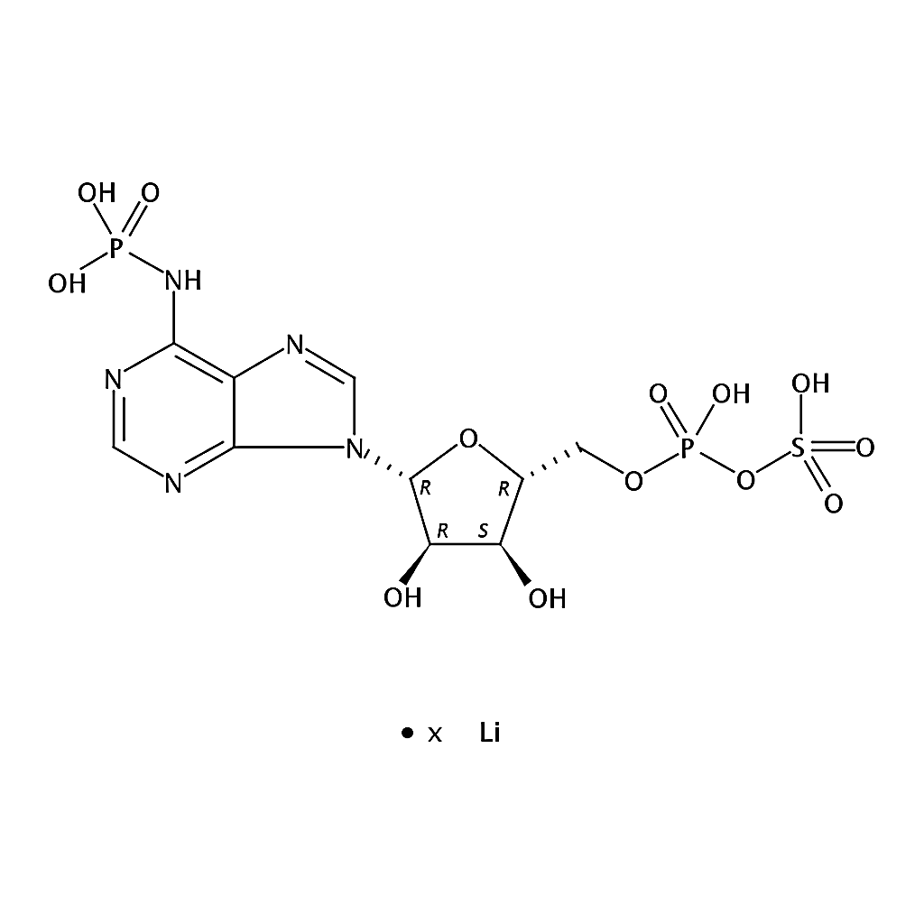 RHAWN Adenosine 3▽-phosphate 5▽-phosphosulfate lithium salt hydrate