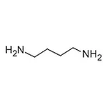RHAWN 1,4-Diaminobutane