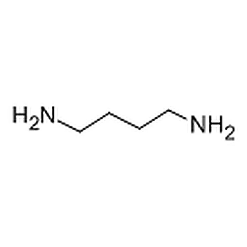 RHAWN 1,4-Diaminobutane