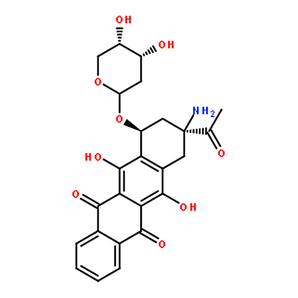 RHAWN Amrubicin (AMR)
