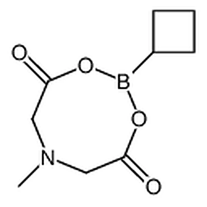 RHAWN Cyclobutylboronic acid MIDA ester