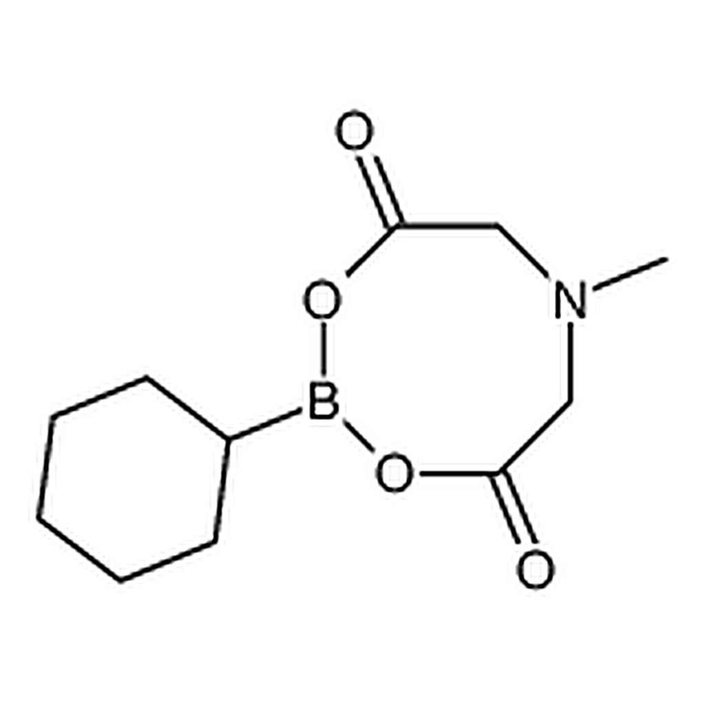 RHAWN Cyclohexylboronic acid MIDA ester