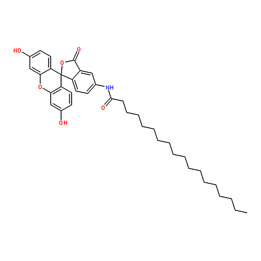 RHAWN 5-(Octadecanoylamino)fluorescein