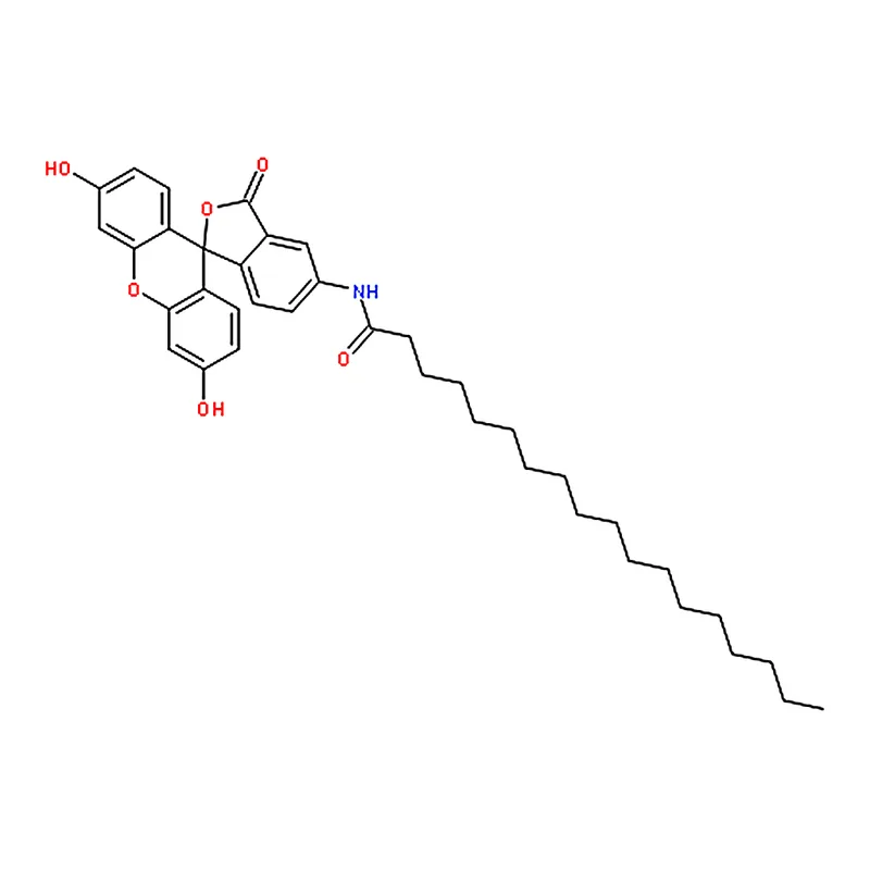RHAWN 5-(Octadecanoylamino)fluorescein