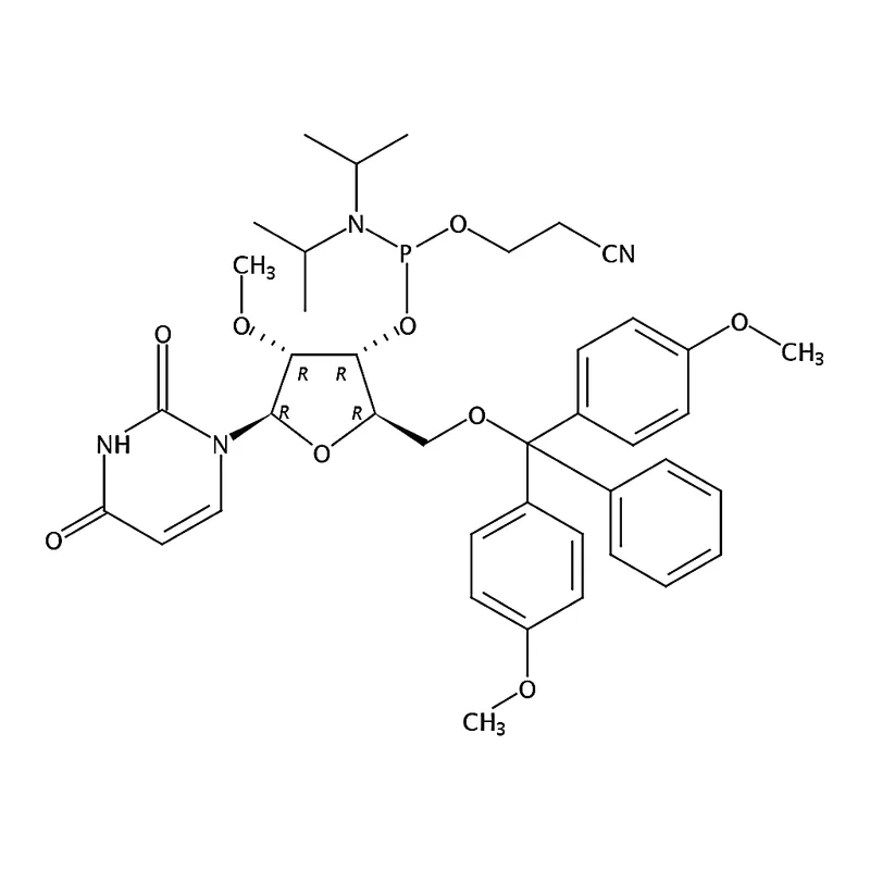 RHAWN 5'-O-(4,4-Dimethoxytrityl)-2'-O-methyluridine-3'-(2-cyanoethyl-N,N-diisopropyl)phosphoramidi