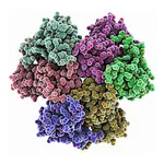RHAWN D-Galacto-D-mannan from Ceratonia siliqua
