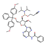 RHAWN (2R,3R,4R,5R)-5-(6-Benzamido-9H-purin-9-yl)-2-((bis(4-methoxyphenyl)(phenyl)methoxy)methyl)-