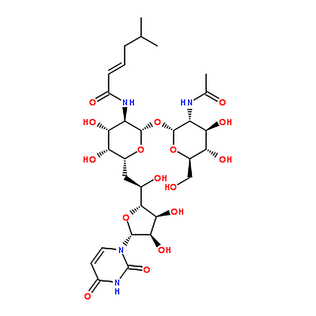RHAWN Tunicamycin