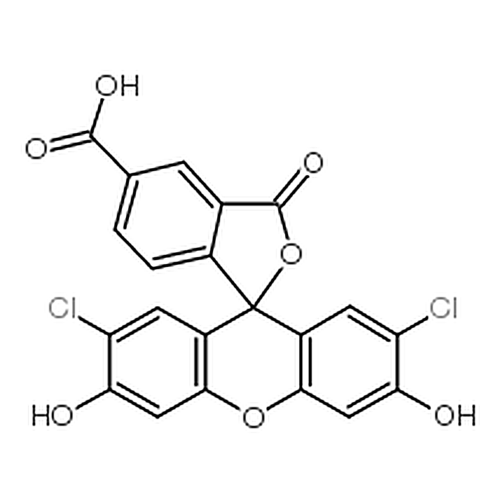 RHAWN 5-(6)-CDCF  [5(6)-Carboxy-2',7'-dichlorofluorescein]