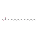 RHAWN Methyl Arachidate