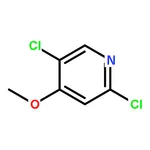 RHAWN 2,5-Dichloro-4-methoxypyridine