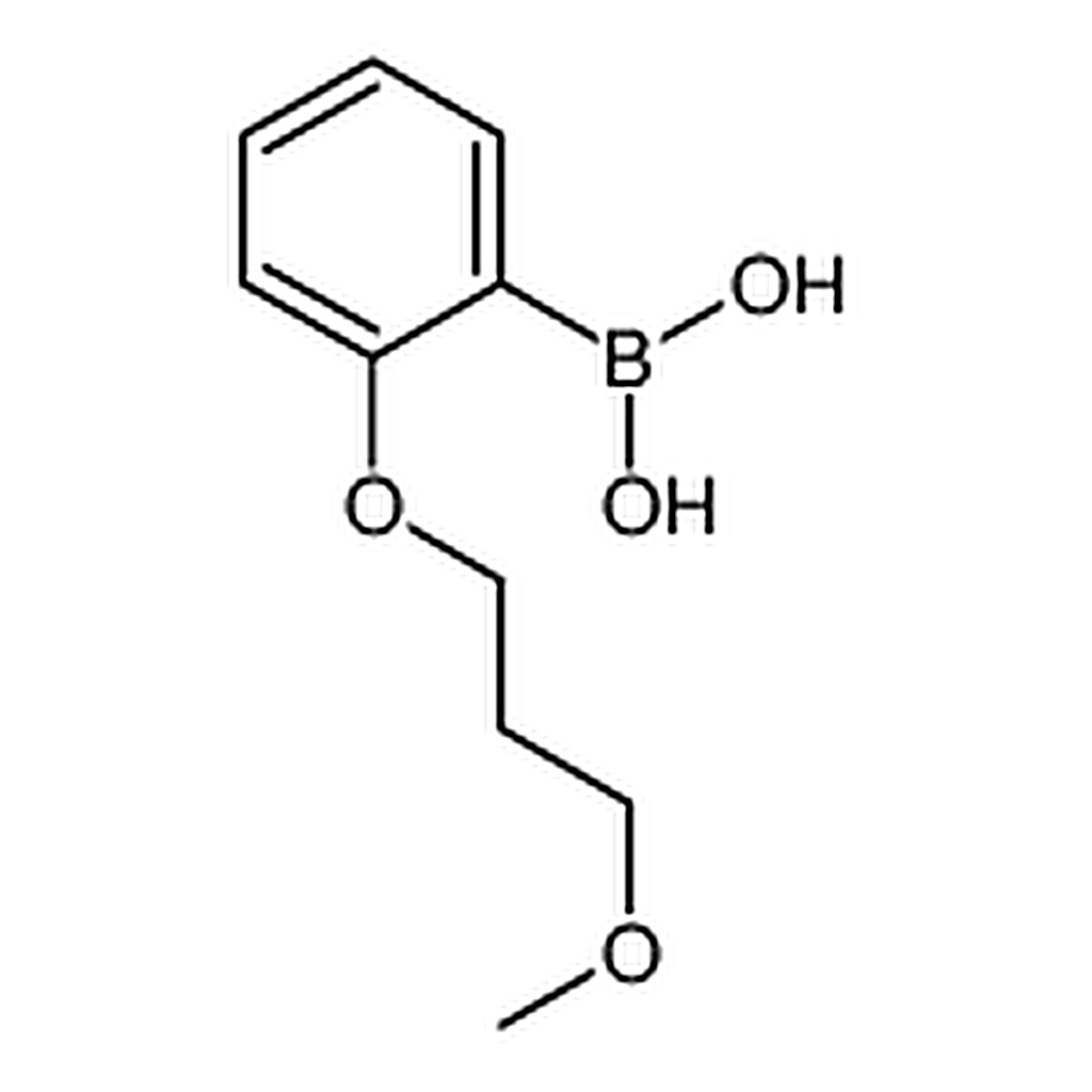 RHAWN 2-(3-Methoxypropoxy)phenylboronic acid