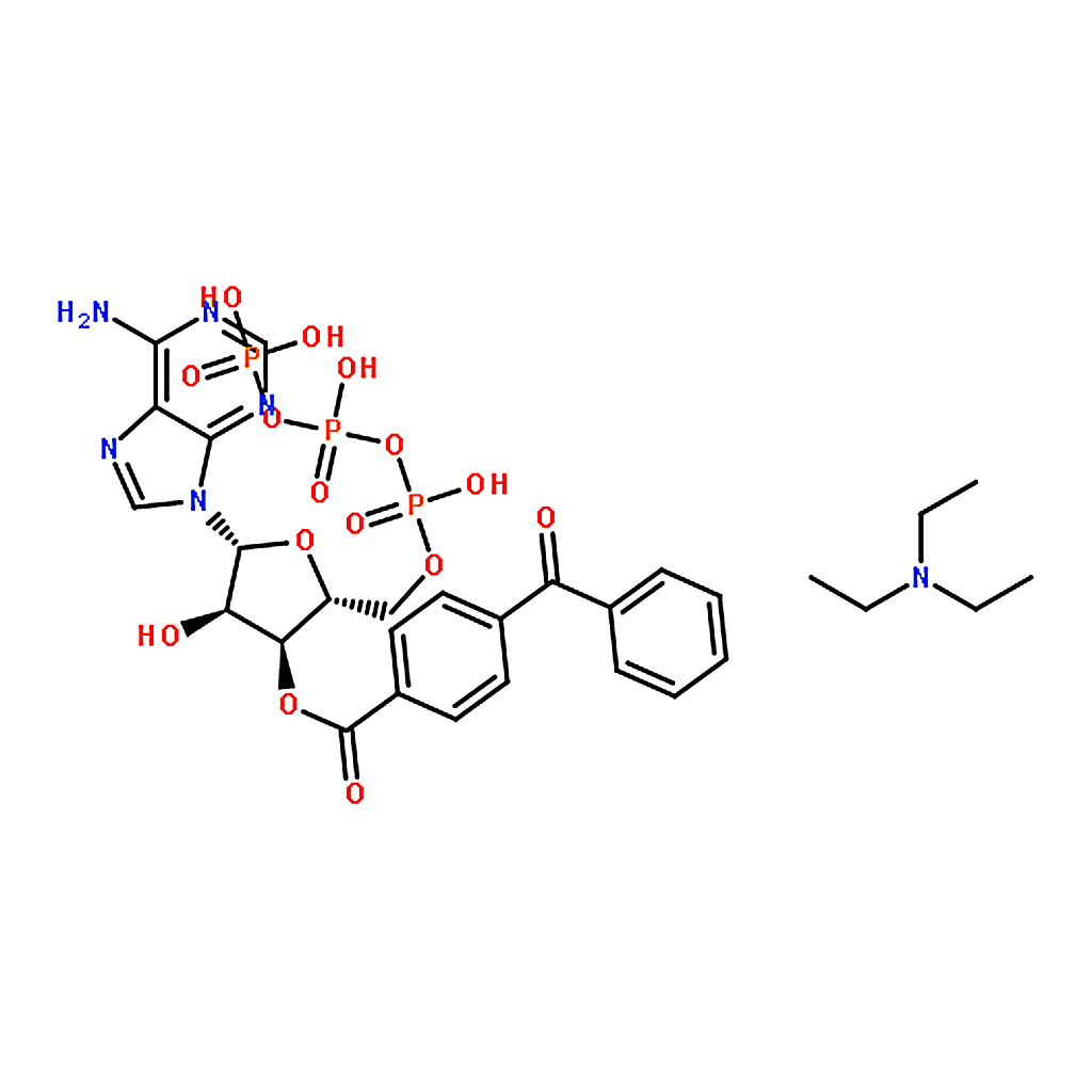 RHAWN 2'(3')-O-(4-Benzoylbenzoyl)adenosine 5'-triphosphate triethylammonium salt