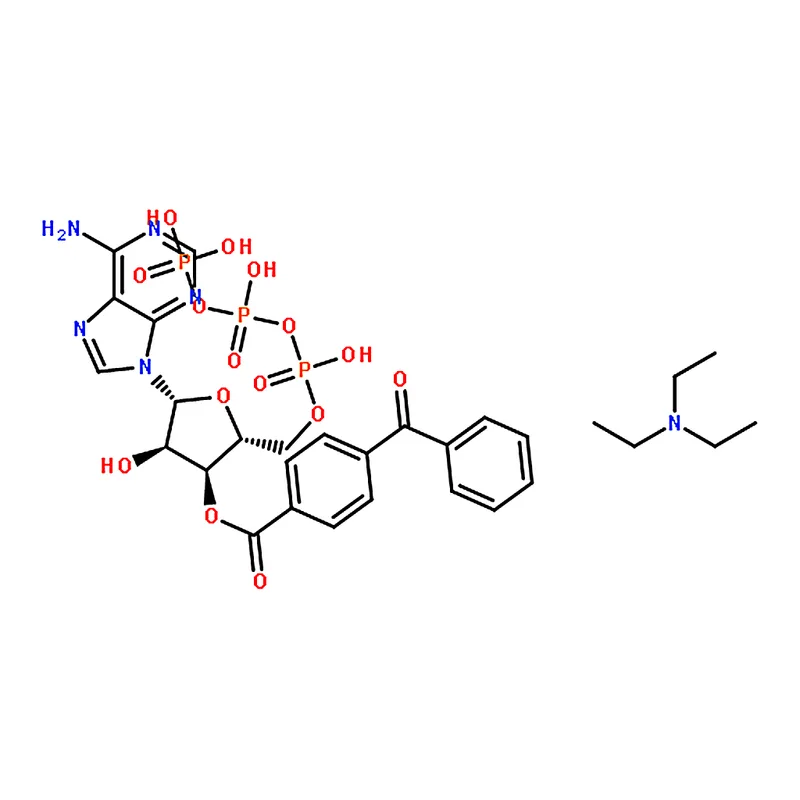 RHAWN 2'(3')-O-(4-Benzoylbenzoyl)adenosine 5'-triphosphate triethylammonium salt