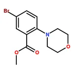 RHAWN Methyl 5-bromo-2-morpholinobenzoate