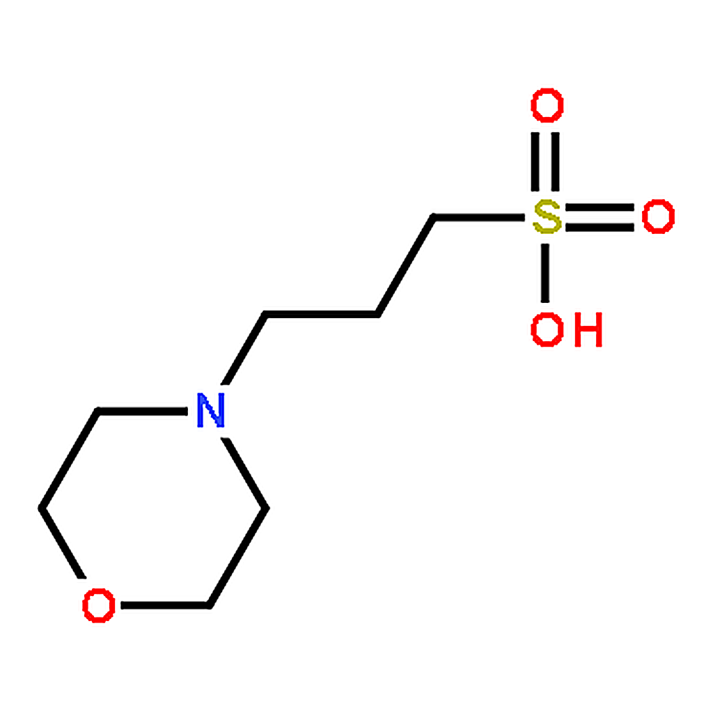 RHAWN 3-(N-morpholino)propanesulfonic acid
