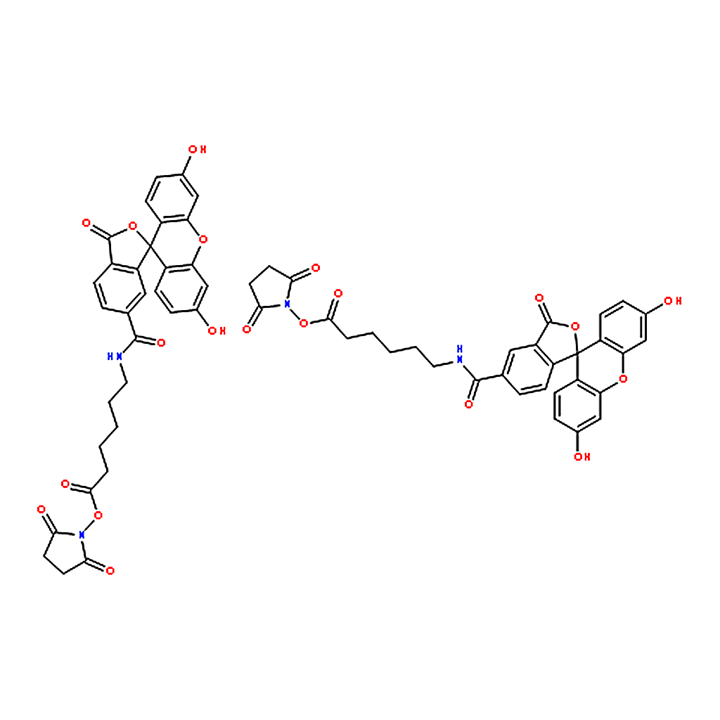 RHAWN Fluorescein-5(6)-carboxamidocaproic acid N-succinimidyl ester