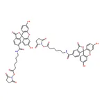 RHAWN Fluorescein-5(6)-carboxamidocaproic acid N-succinimidyl ester