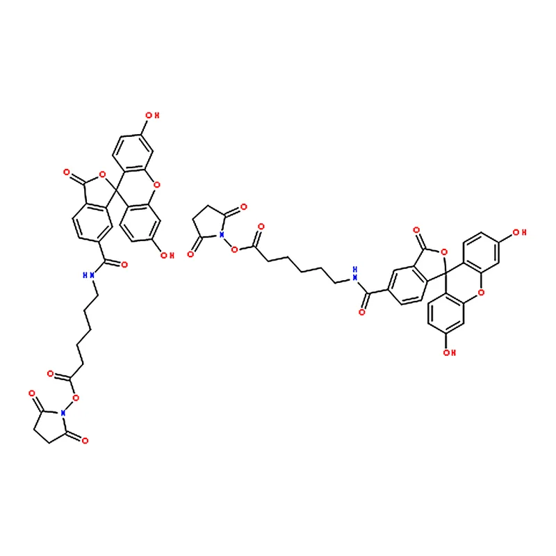 RHAWN Fluorescein-5(6)-carboxamidocaproic acid N-succinimidyl ester