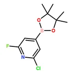 RHAWN 2-Chloro-6-fluoro-4-(4,4,5,5-tetramethyl-1,3,2-dioxaborolan-2-yl)pyridine