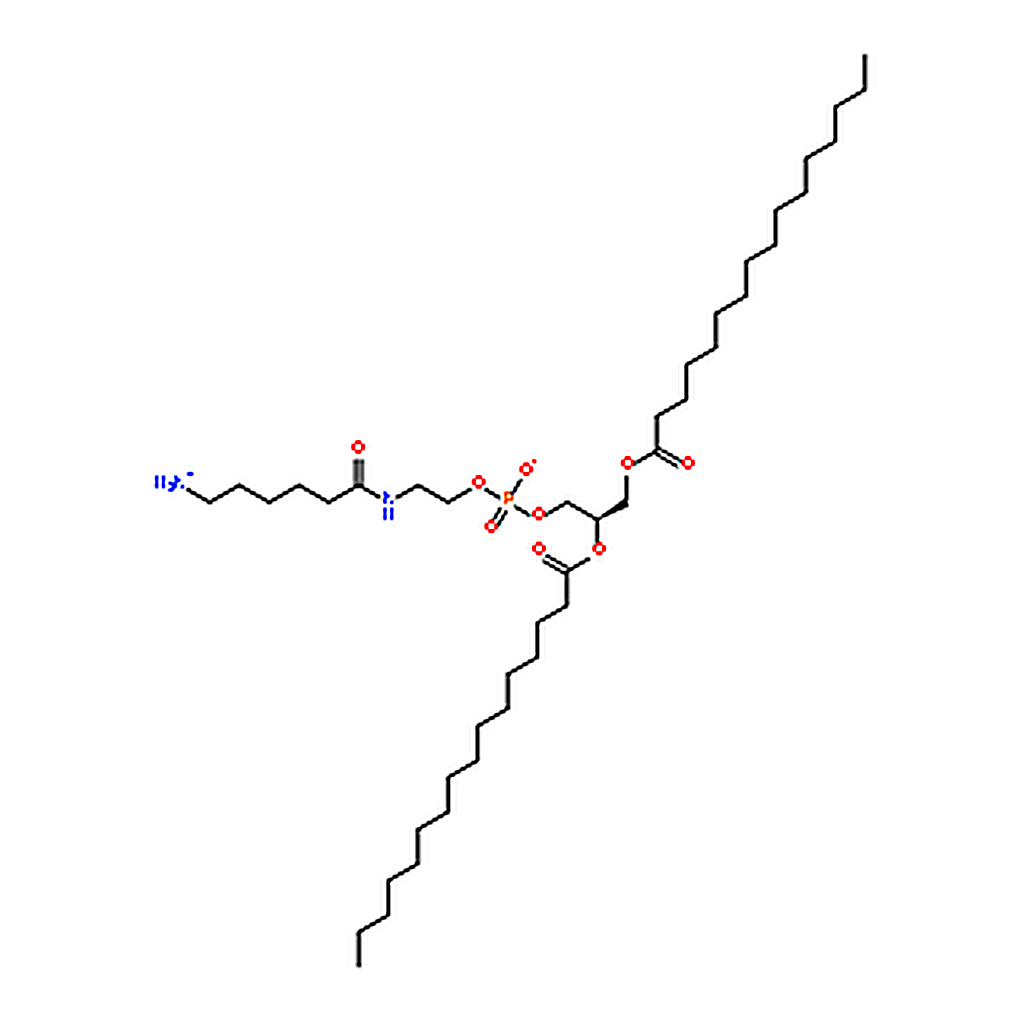 RHAWN 1,2-Dipalmitoyl-sn-Glycero-3-Phosphoethanolamine-N-(hexanoylamine)