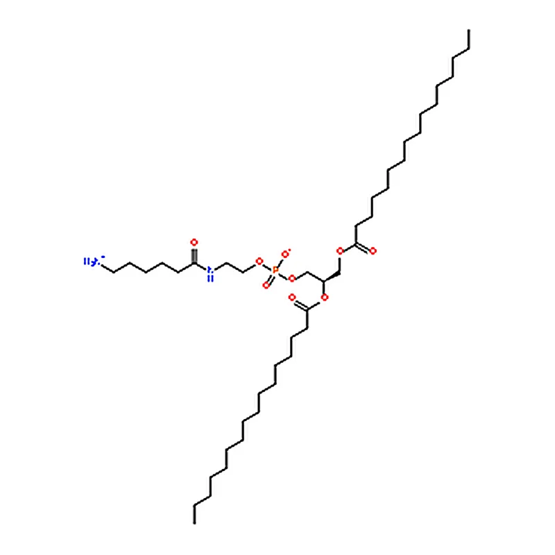 RHAWN 1,2-Dipalmitoyl-sn-Glycero-3-Phosphoethanolamine-N-(hexanoylamine)