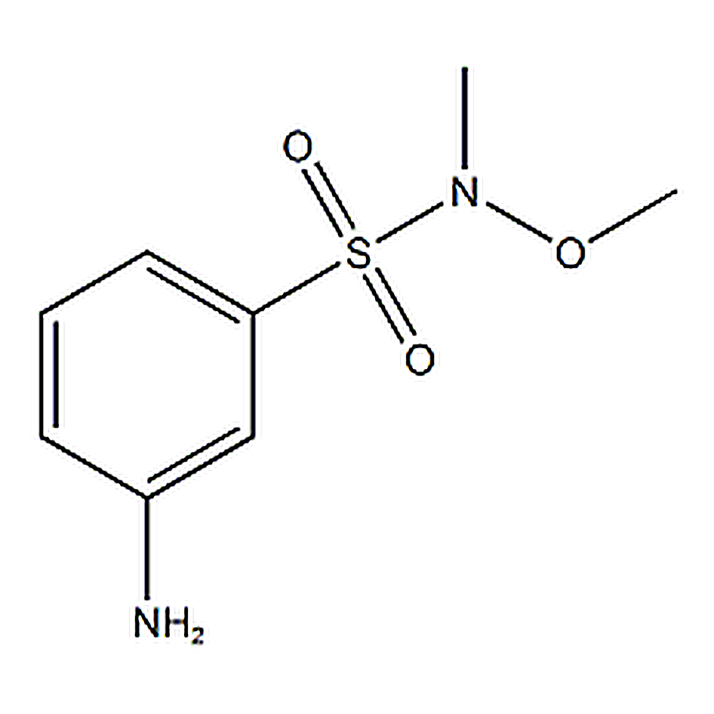RHAWN 3-Amino-N-Methoxy-N-methylbenzene-1-sulphonamide