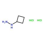 RHAWN Cyclobutylhydrazine dihydrochloride